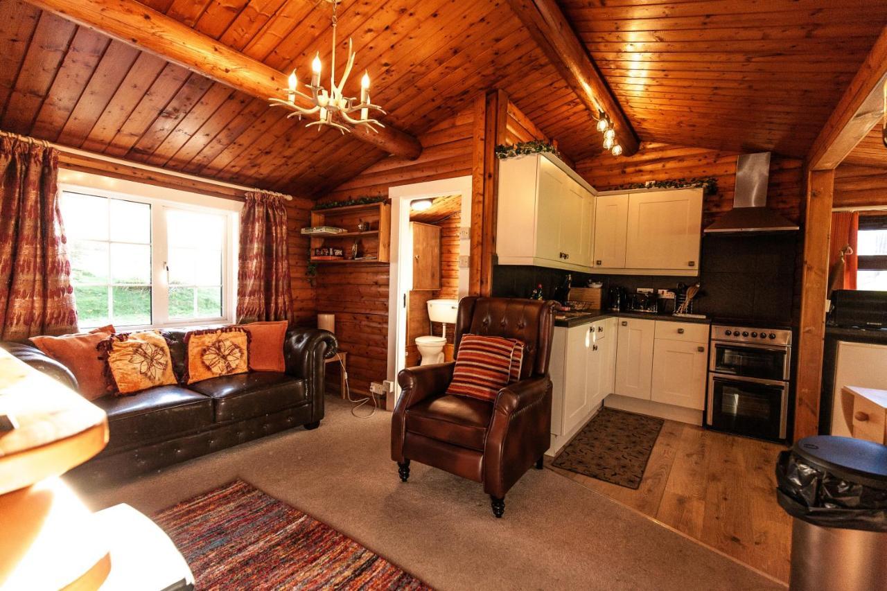 Stunning Log Cabin With Garden In Snowdonia - Hosted By Seren Short Stays Trawsfynydd Buitenkant foto